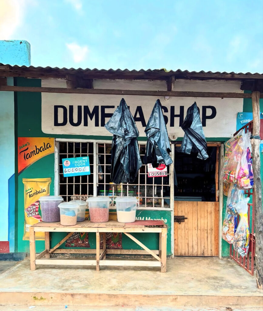 Plastic bags in Malawi